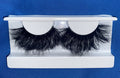 conceited lashes