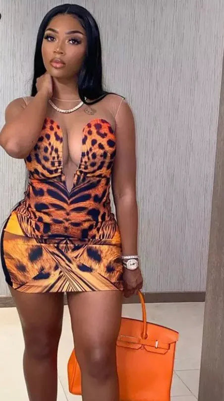 Mesh tiger dress